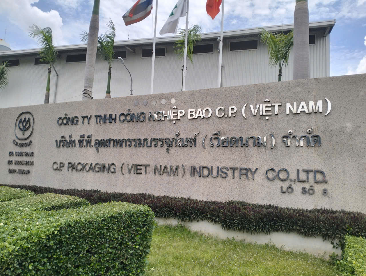 cưa cây Đồng Nai