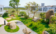 Cưa cây Hoàng Bảo