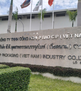 Dự án cưa cây ở khu công nghiệp Biên Hòa 2