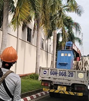 Cưa cây Hoàng Bảo