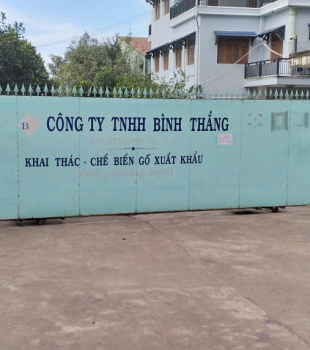 Thu mua cây thanh lý của công ty tại đường số 10 khu công nghiệp hố nai 3