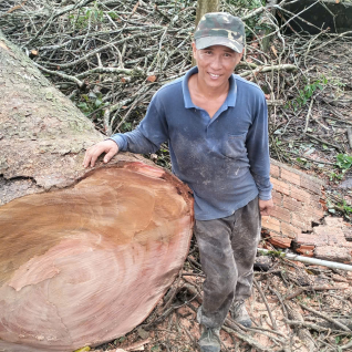 Nguyễn Hoàng Bảo
