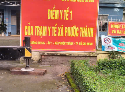 Dịch Vụ Cưa Cây Phú Giáo: Cắt Tỉa, Đốn Hạ Cây Nguy Hiểm An Toàn