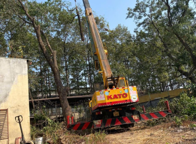 Cưa Cây Dĩ An | Dịch Vụ Cưa Hạ, Cắt Tỉa Cây An Toàn