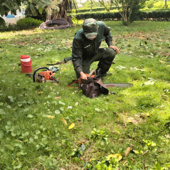 Cưa cây tại khu công nghiệp Long Khánh