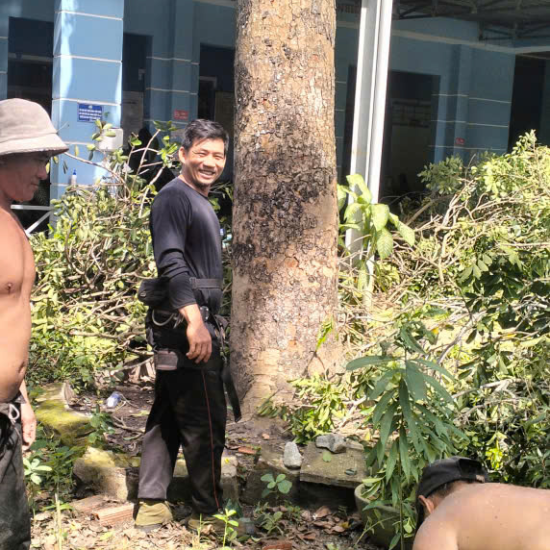 Cưa cây tại Trạm y tế xã Phước Thành, TP HCM