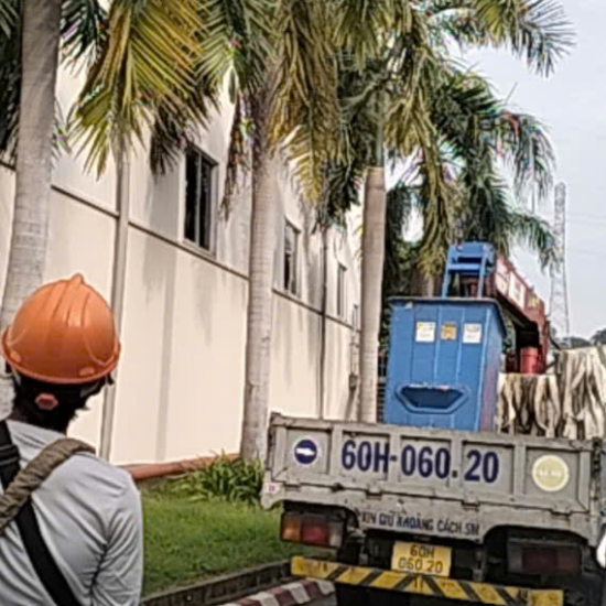 Dự án cưa cây ở khu công nghiệp Biên Hòa 2