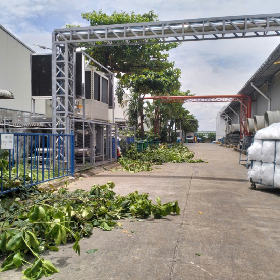 Dự án cưa cây ở khu công nghiệp Biên Hòa 2