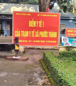 Cưa cây tại Trạm y tế xã Phước Thành, TP HCM